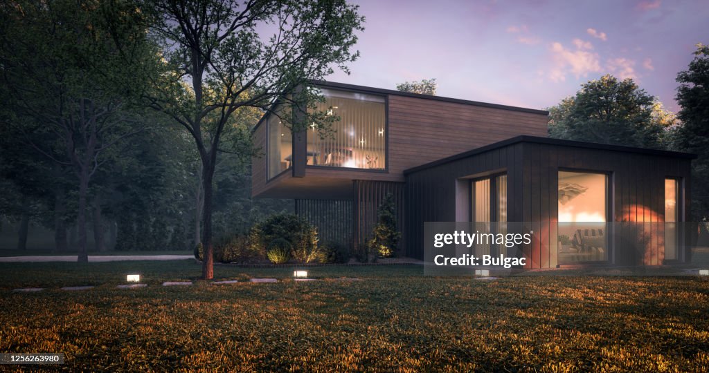 Modern Minimalist Family Villa