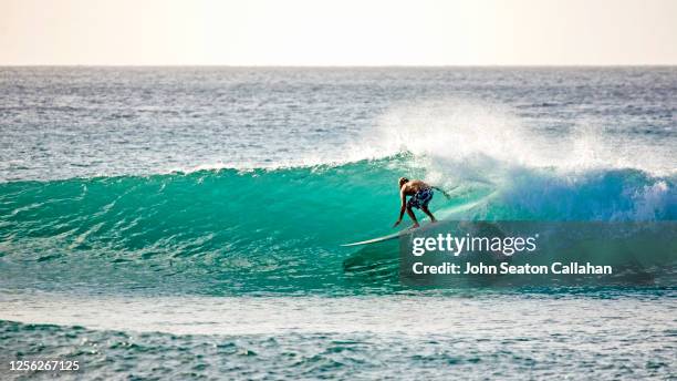 barbados, surfing in the atlantic ocean - barbados stock-fotos und bilder