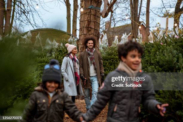 moments to cherish - tree plantation stock pictures, royalty-free photos & images