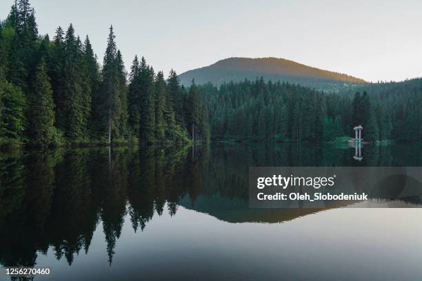 malerische aussicht auf den synevir see in den bergen - ukraine landscape stock-fotos und bilder