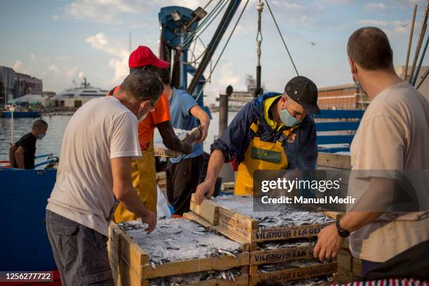 Unloading Fish Unloading Fish Photos and Premium High Res Pictures - Getty Images
