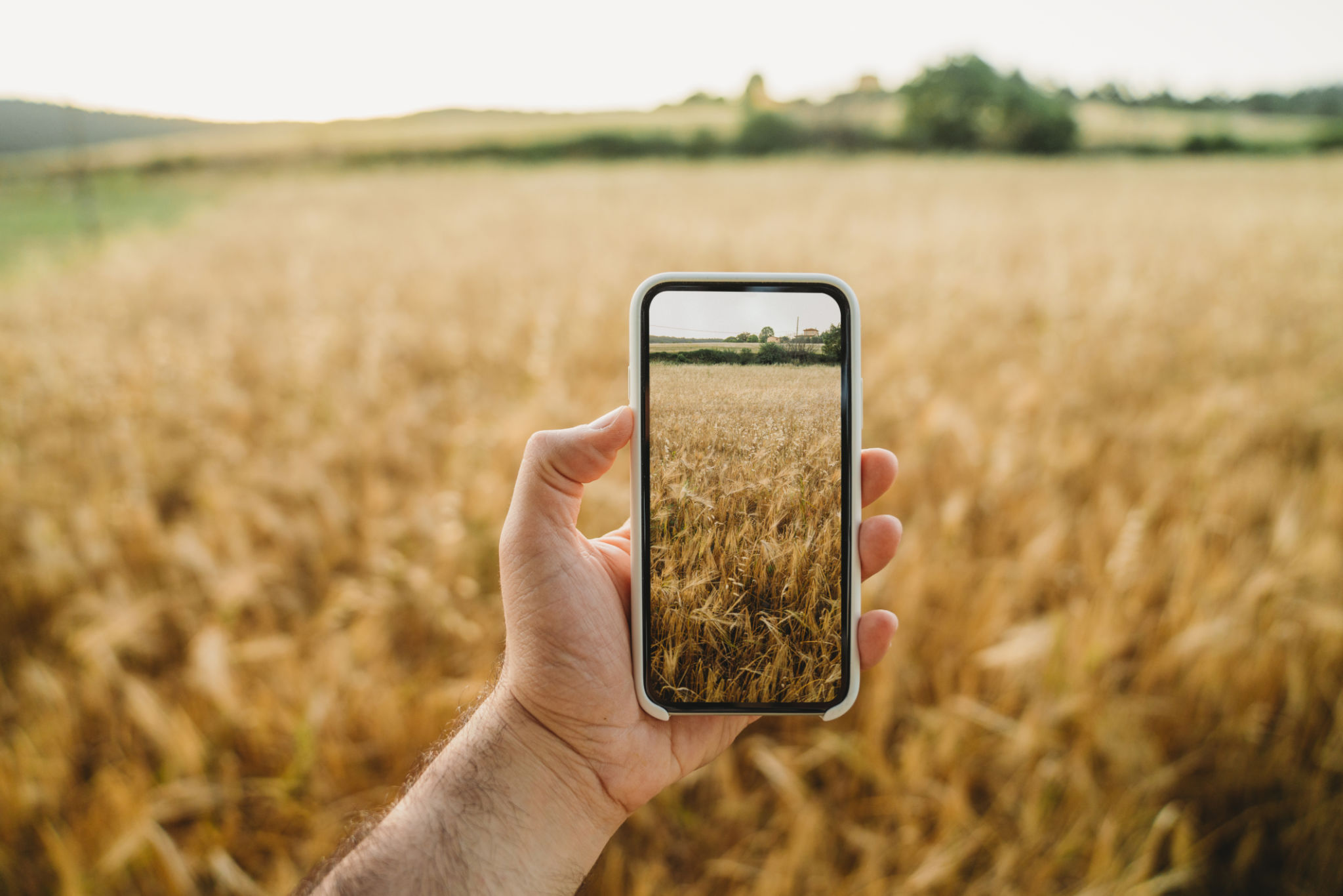 Italian agriculture technology