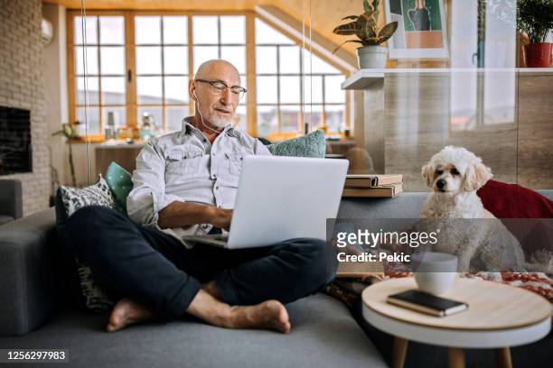 senior man on a enjoying video call with his dog - baby boomer stock pictures, royalty-free photos & images