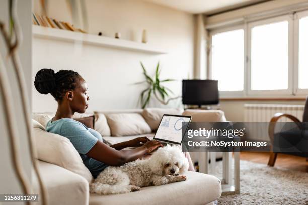 woman working at home - telecommuting stock pictures, royalty-free photos & images
