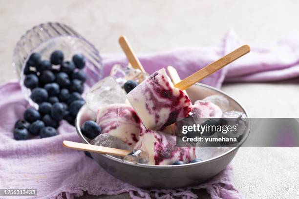 blueberry ice cream popsicles - doces imagens e fotografias de stock