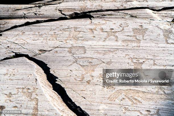 rupestrian engravings petroglyph, valcamonica, italy - ancient plow stock pictures, royalty-free photos & images