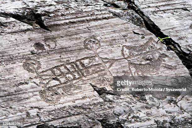 rupestrian engravings of cart pulled by oxen, valcamonica, italy - era prehistórica fotografías e imágenes de stock