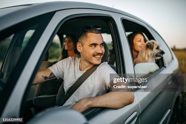 friends enjoying the trip - friends inside car imagens e fotografias de stock