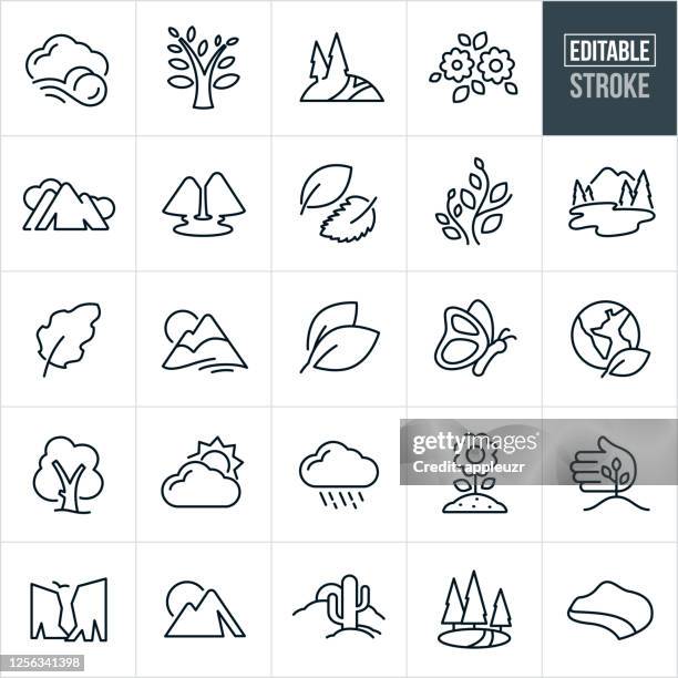 stockillustraties, clipart, cartoons en iconen met symbolen van nature thin line iconen - bewerkbare lijn - insect