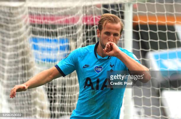 Harry Kane of Tottenham Hotspur celebrates after scoring his sides second goal during the Premier League match between Newcastle United and Tottenham...