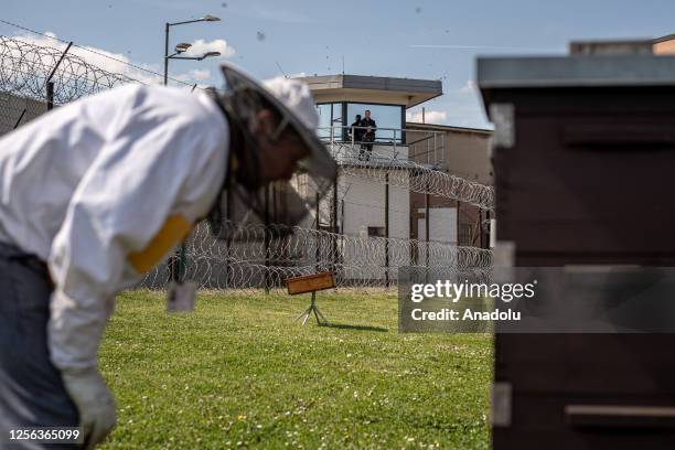 Prison Guard Problem Guarded Vault Photos and Premium High Res Pictures - Getty Images