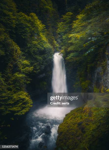 palovit waterfall in camlihemsin, rize, black sea region of turkey - waterfall stock pictures, royalty-free photos & images