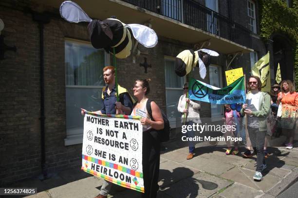 Protesters march through the city centre, carrying flags and signs on May 20, 2023 in Bury St Edmunds, United Kingdom. On World Bee Day, meant to...