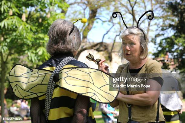 Two protesters gather dressed in bee costumes on May 20, 2023 in Bury St Edmunds, United Kingdom. On World Bee Day, meant to acknowledge the role of...