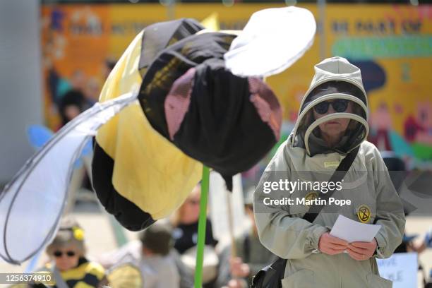 Protester wears a bee keepers outfit and holds a model of a bee in the city centre on May 20, 2023 in Bury St Edmunds, United Kingdom. On World Bee...