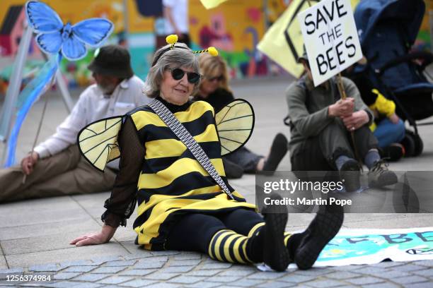 Protesters sit downin their bee costumes and their signs in the city centre and listen to speeches about pesticides on May 20, 2023 in Bury St...