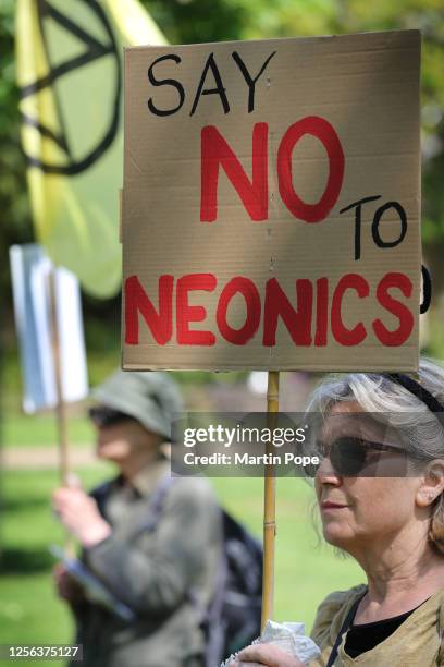 Protesters gather, one with a sign saying 'No to Neonics' before marching into the city centre on May 20, 2023 in Bury St Edmunds, United Kingdom. On...