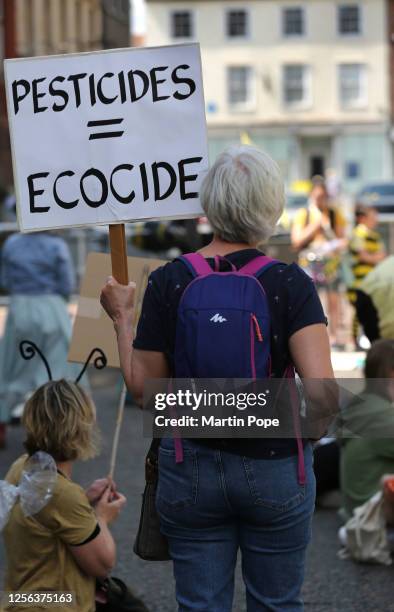 Protester holds a sign saying 'Pesticides= Ecocide' as others sit down in the city centre and listen to speeches about the declining bee population...