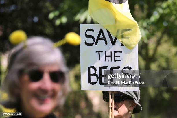 Protesters gather, one with a sign saying 'Save the Bees' before marching into the city centre on May 20, 2023 in Bury St Edmunds, United Kingdom. On...