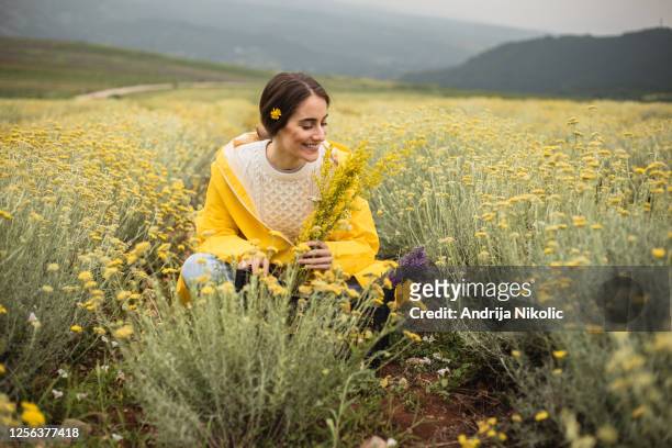 de jonge vrouw in het midden van het kruidengebied ruikt kruiden zij oogst enkel - bloemenveld stockfoto's en -beelden