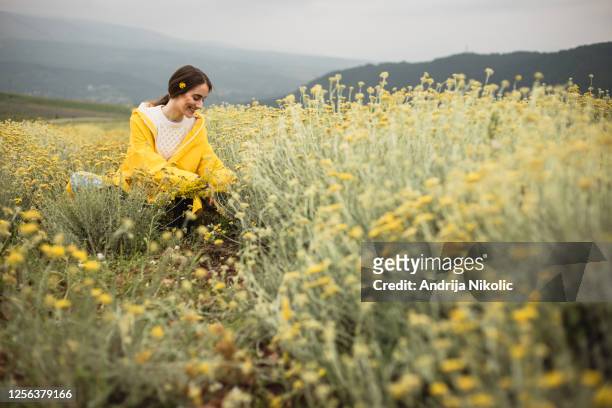 woman is sitting in herb field and enjoying nature - herb stock pictures, royalty-free photos & images