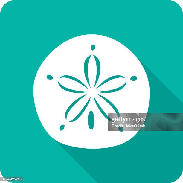 sand dollar icon silhouette - seashell stock illustrations
