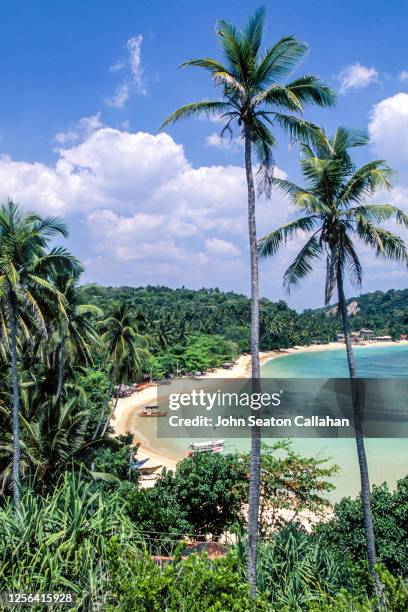 sri lanka, unawatuna beach - colombo stock pictures, royalty-free photos & images