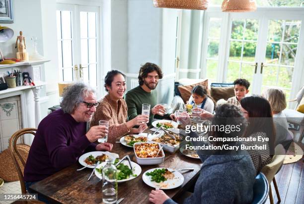 extended family toasting drinks at lunch - warmes abendessen stock-fotos und bilder