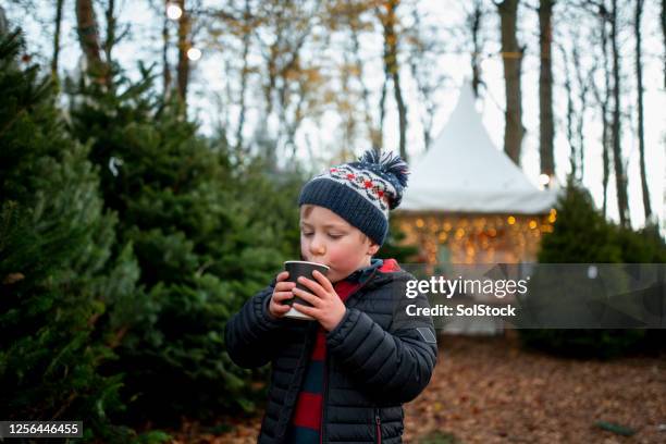 hot chocolate to keep me warm! - christmas in the woods stock pictures, royalty-free photos & images