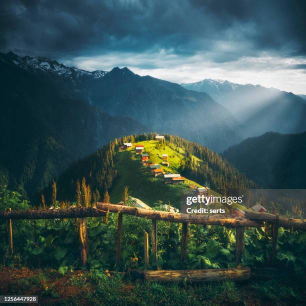 landschaftsansicht des pokut-plateau, caml'hemsin, rize, türkei - trabzon stock-fotos und bilder