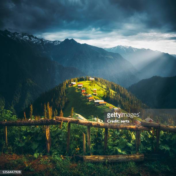 landscape view of pokut plateau, camlıhemsin, rize, turkey - black sea stock pictures, royalty-free photos & images