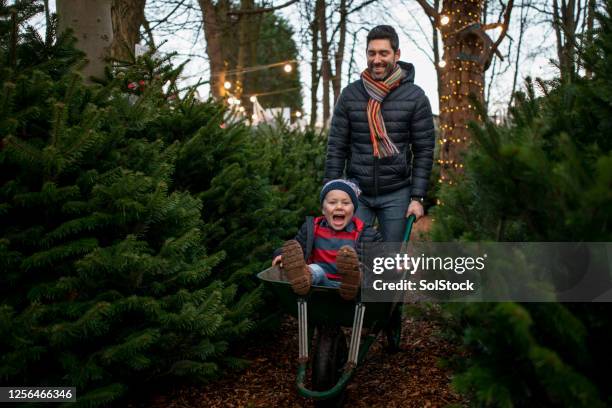 wheelbarrow ride! - tree farm imagens e fotografias de stock