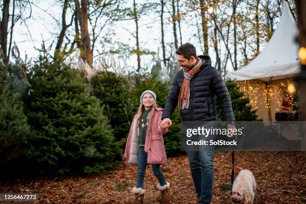 alegria de natal - christmas tree farm - fotografias e filmes do acervo