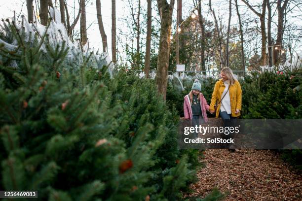 compras navideñas - christmas tree farm fotografías e imágenes de stock