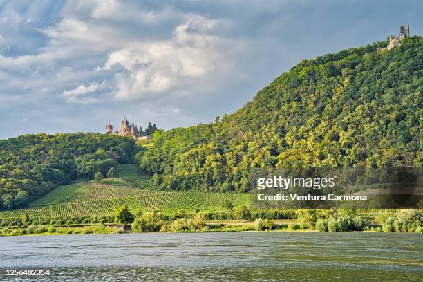 drachenburg and drachenfels, germany - rhine river stock pictures, royalty-free photos & images