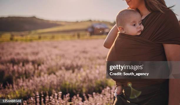 happy mother and her baby boy in the beautiful lavander field - baby carrier stock pictures, royalty-free photos & images