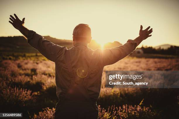 mature male farmer standing in lavender field - growth mindset stock pictures, royalty-free photos & images