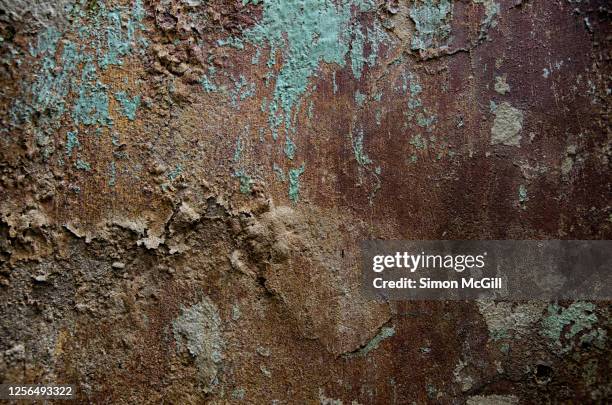 mouldy and water damaged wall with peeling paint - mould stock pictures, royalty-free photos & images