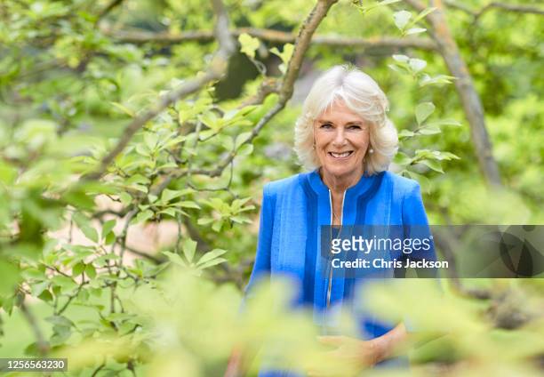 Camilla, Duchess of Cornwall poses for an official portrait in the gardens of Clarence House to mark HRH's 73rd birthday, wearing a blue silk linen...