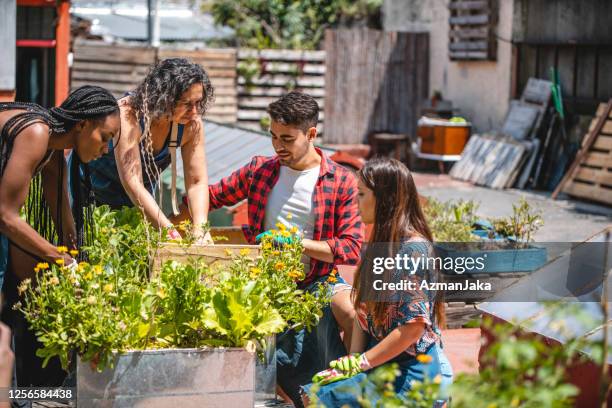 giardinieri della comunità multietnica che lavorano nella posizione sul tetto - giardino pubblico orto foto e immagini stock