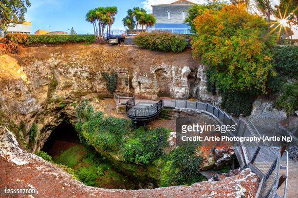 the cave gardens, mount gambier, south australia - sinkholes stockfoto's en -beelden