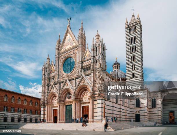 kathedrale von siena, toskana, italien - piazza del duomo in siena stadt - siena stock-fotos und bilder