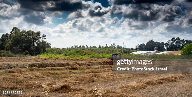 farmer on a tractor - bailing hay stock pictures, royalty-free photos & images