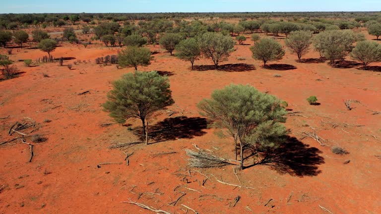 Aussie Outback Texture 939 Australia Landscape Textures Stock Videos, Footage, & 4K Video ...