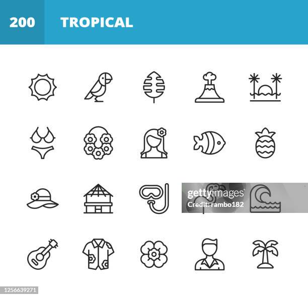 tropical and exotic line icons. editable stroke. pixel perfect. for mobile and web. contains such icons as summer, hawaii, island, parrot, leaf, beach, cocktail, necklace, flower, tourist, pineapple, hat, snorkeling, surfing, guitar, shirt, palm tree. - parrot stock illustrations stock illustrations