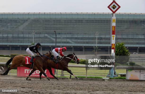 Horsemen ride their horses at the Hipodromo de Las Americas in Mexico City, on the occasion of the Day of the Charro and the Escaramuza, where some...