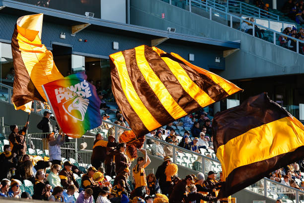 Hawks fans celebrate a goal during the 2023 AFL Round 10 match between the Hawthorn Hawks and the West Coast Eagles at UTAS Stadium on May 21, 2023...