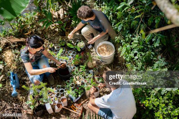 group of people planting seedlings in a sustainable lifestyle - altruismo stock pictures, royalty-free photos & images