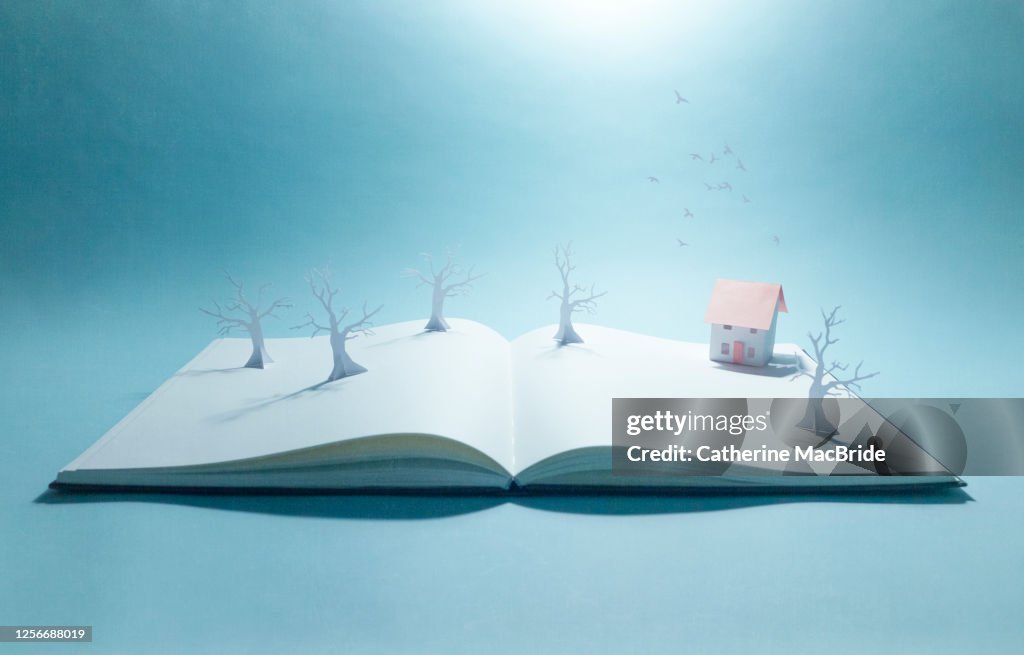 Pop-up book with trees and paper home