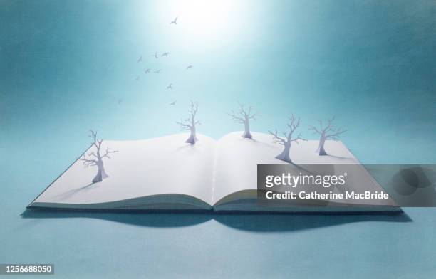 pop-up book withpaper forest and flock of birds - 童話故事 個照片及圖片檔
